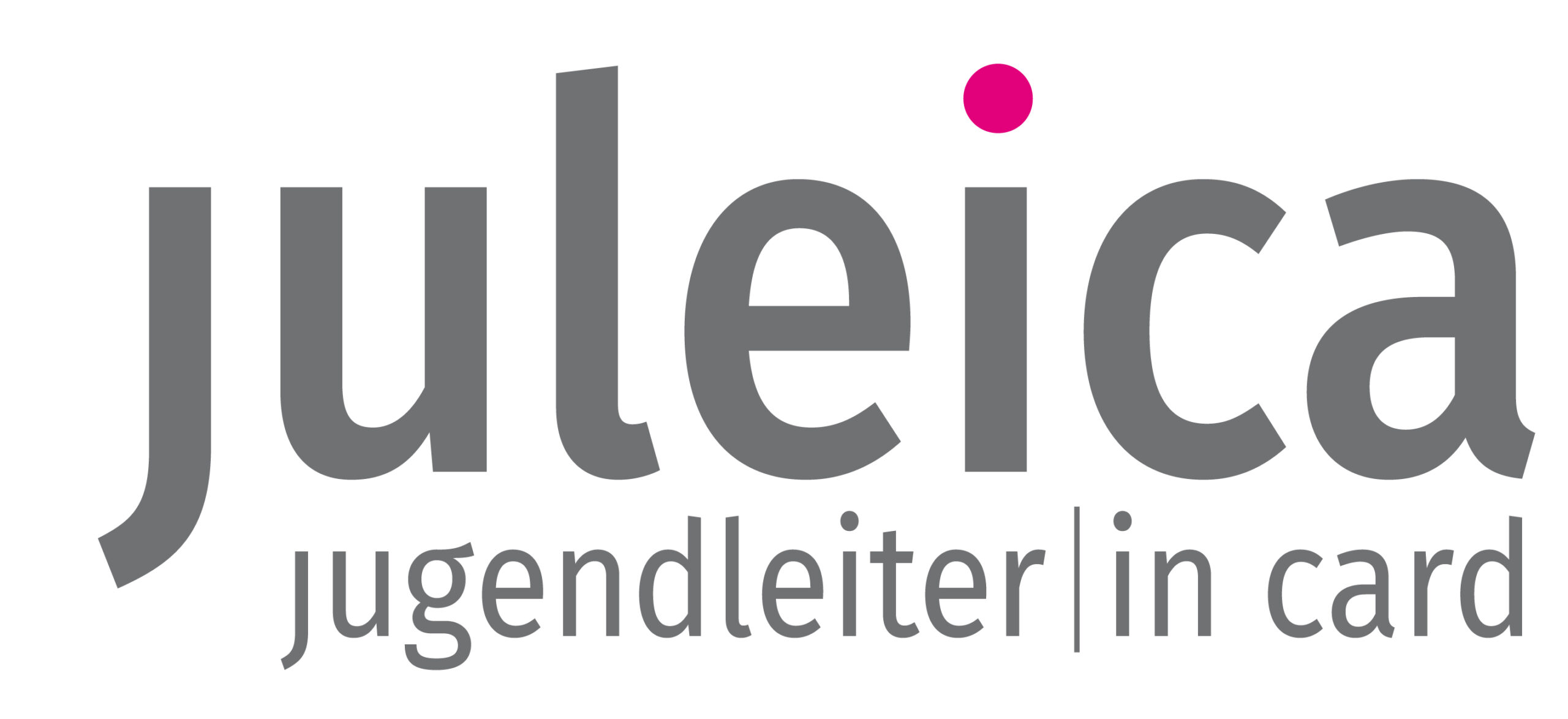 2020 Juleica Schriftzug RGB